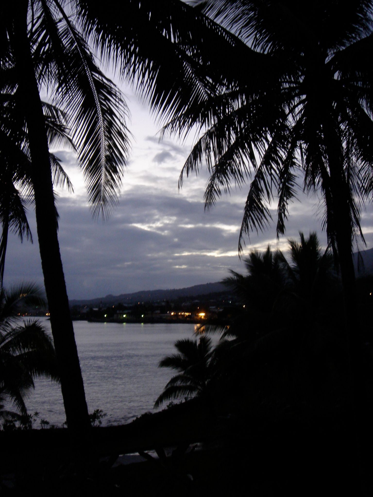DSC03541