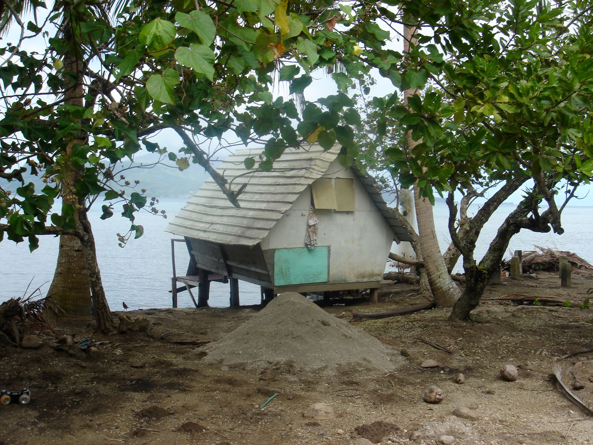 DSC03996