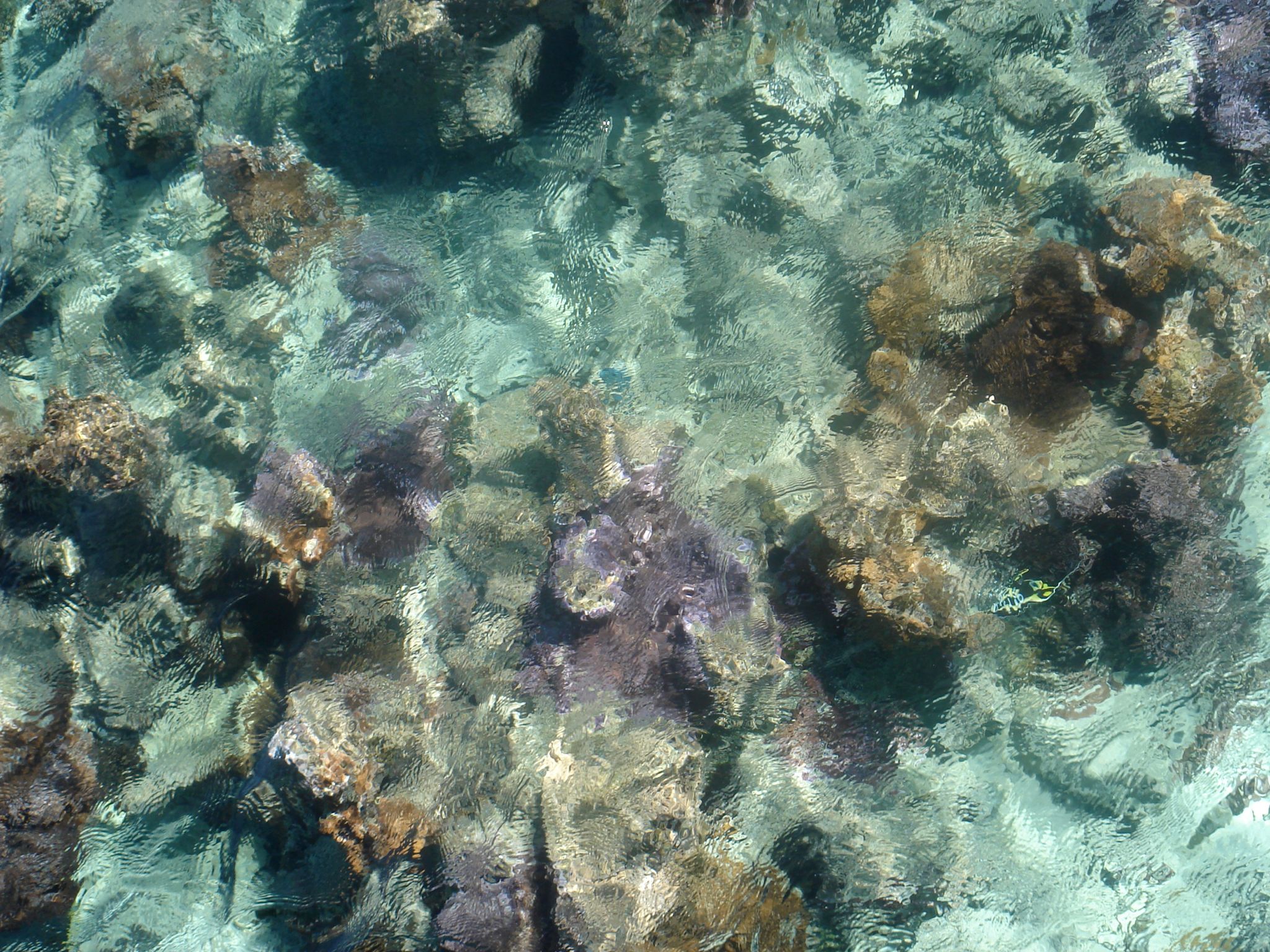 DSC04438.JPG