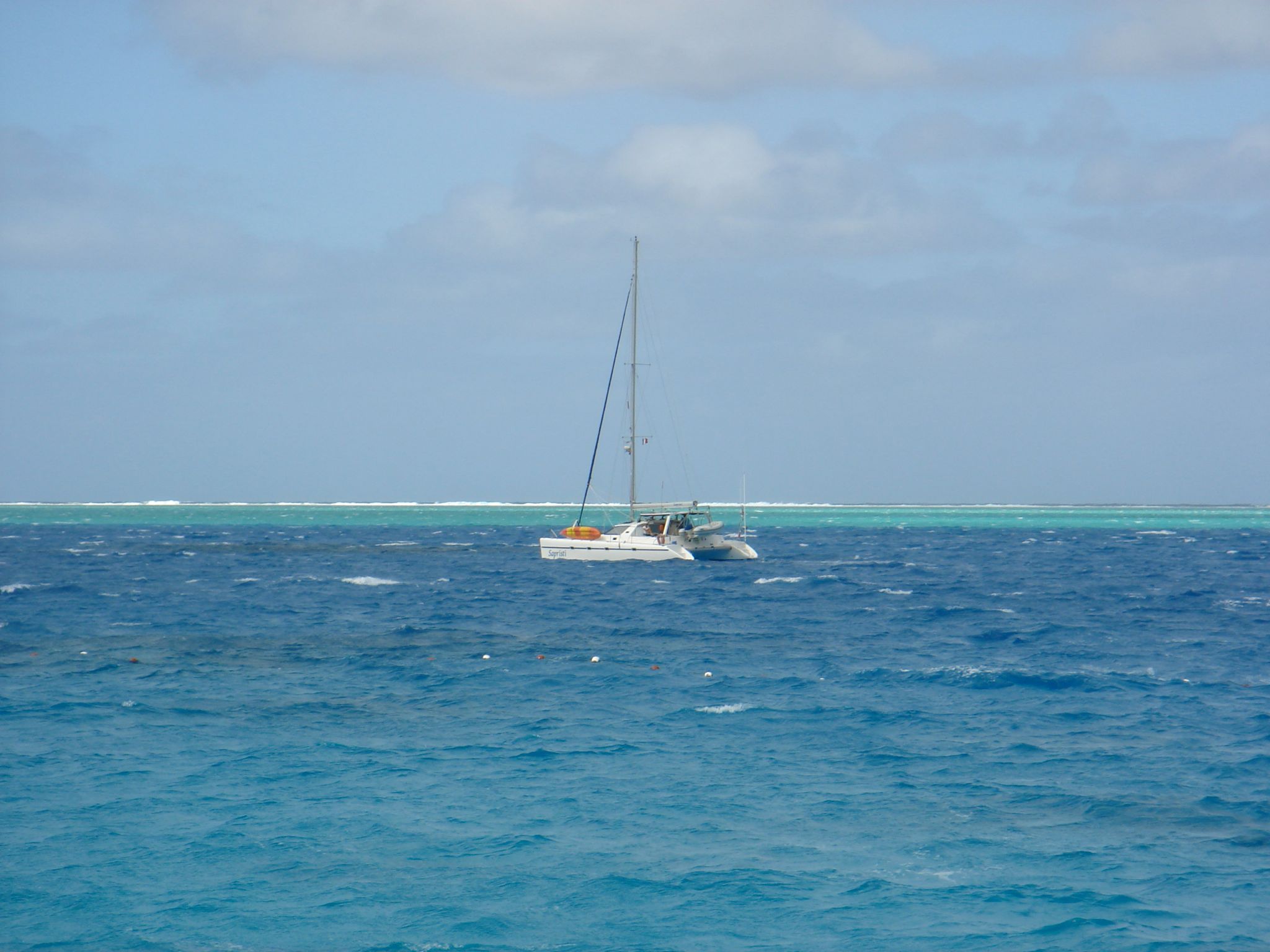 DSC03639