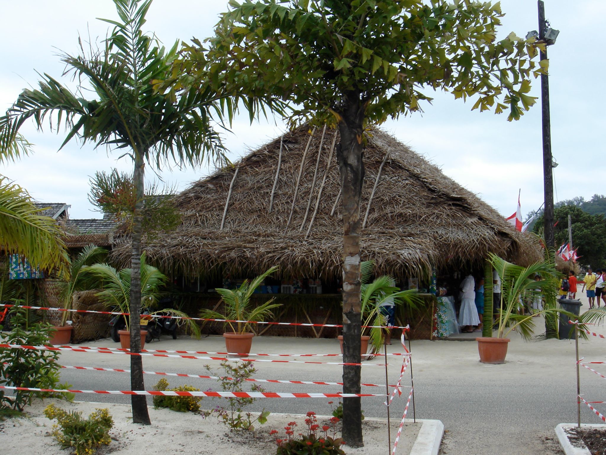DSC03643