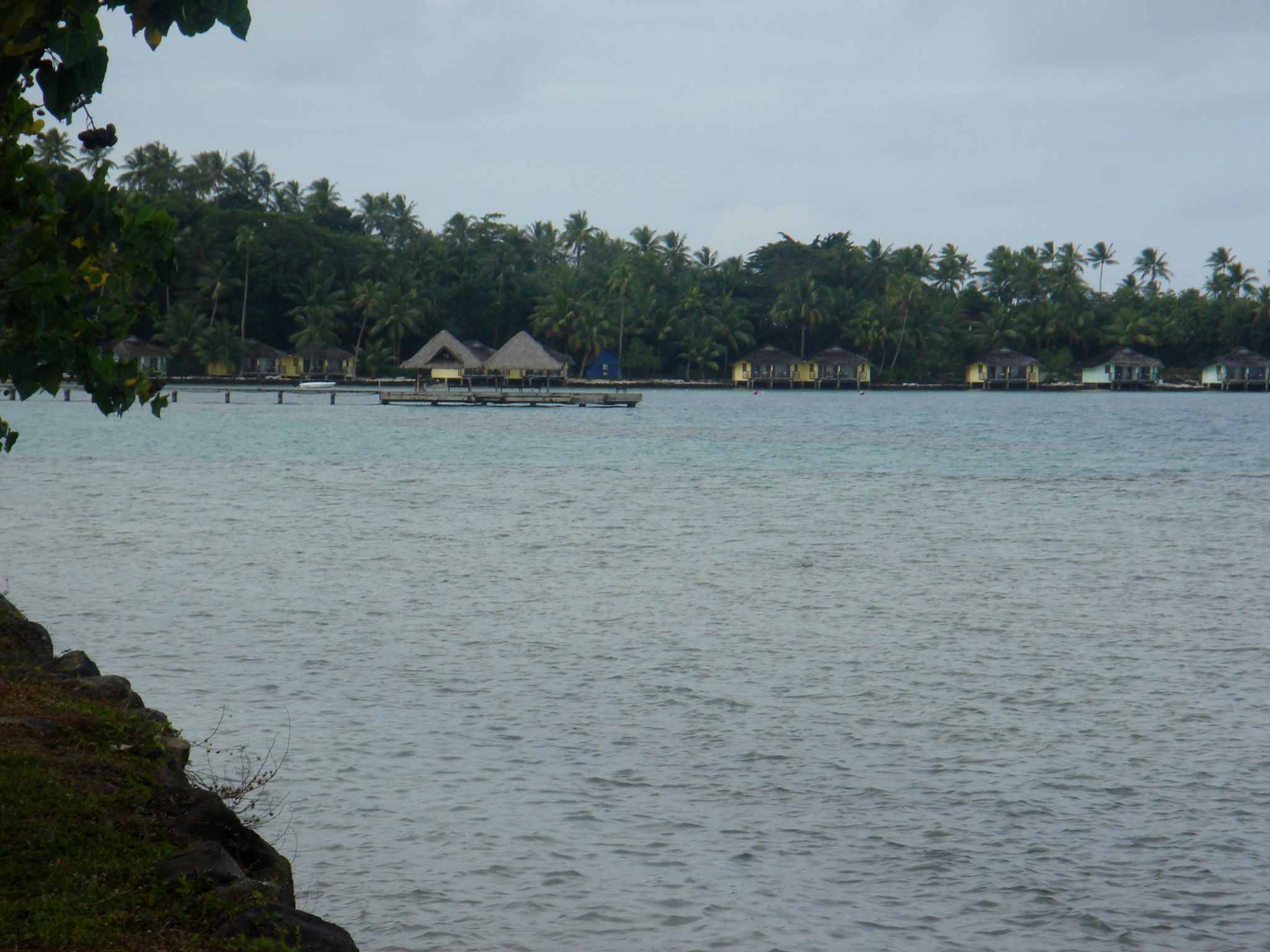 DSC03740