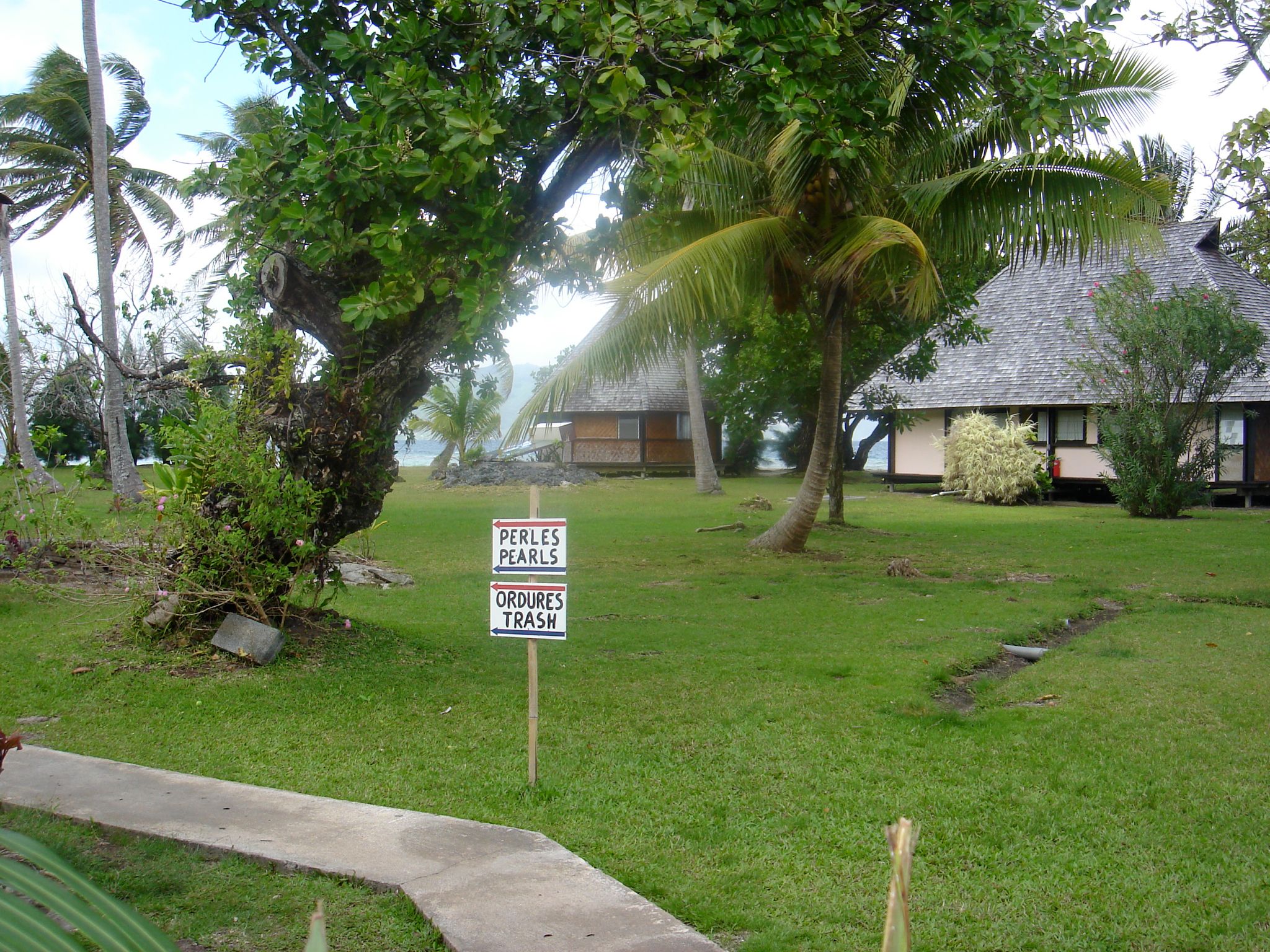 DSC03976