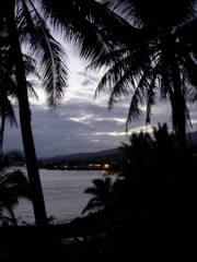 DSC03541