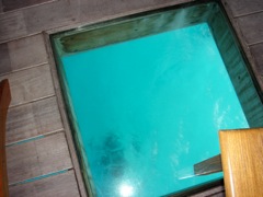 DSC04166.JPG