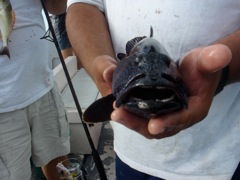 DSC04276.JPG