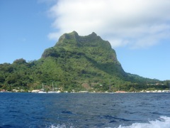 DSC04570.JPG