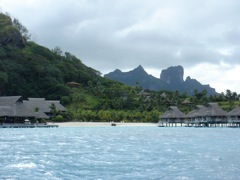 DSC03631