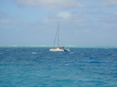 DSC03639
