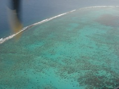 DSC03554