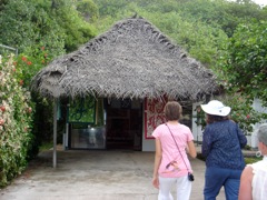 DSC03731