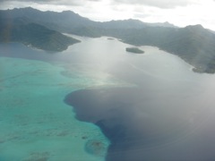 DSC03565