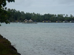 DSC03740