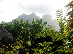 DSC03769