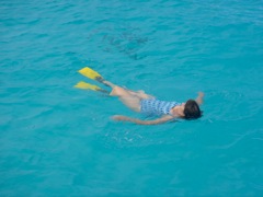 DSC03778