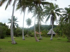 DSC03983