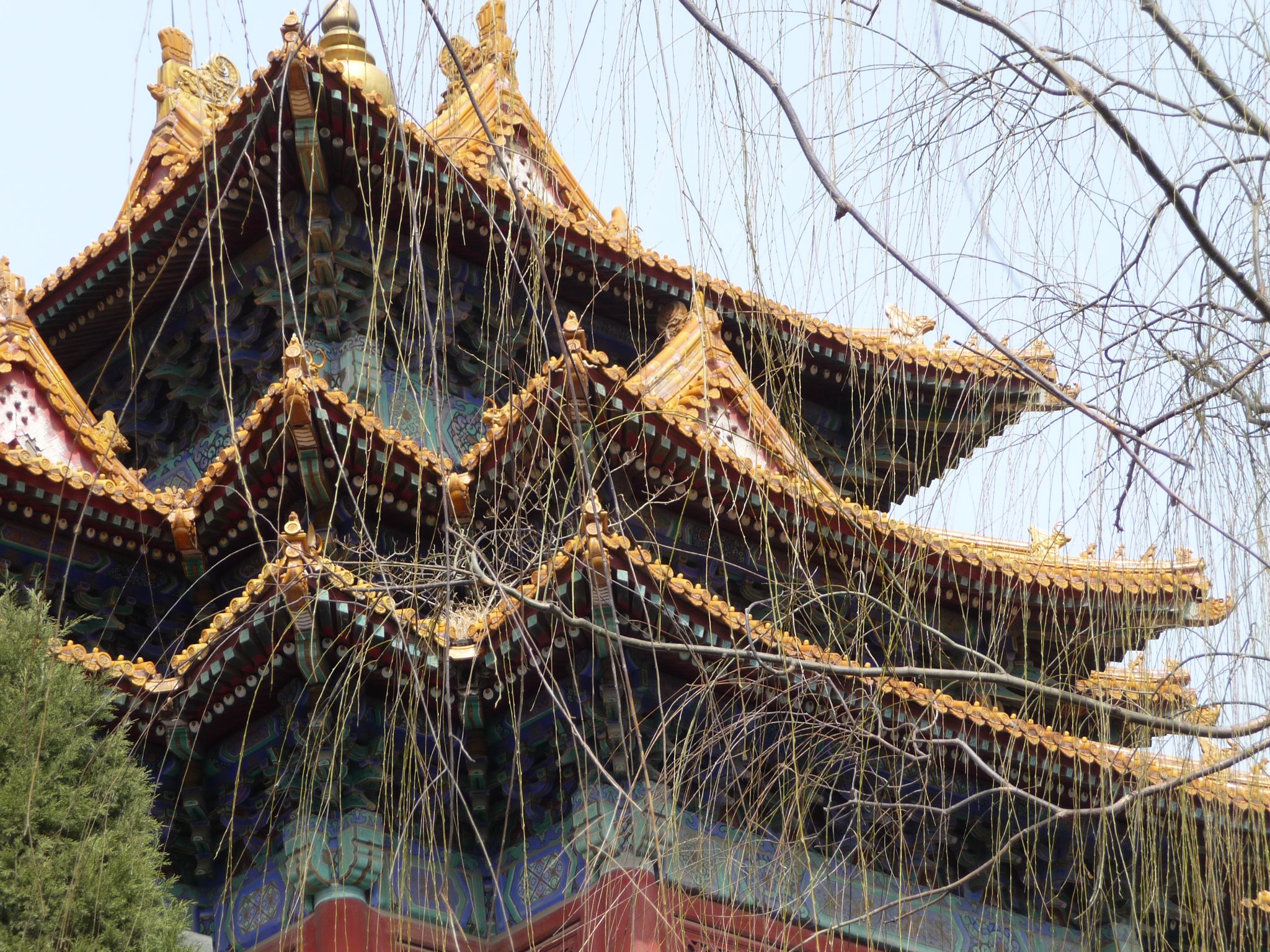 Forbidden City roog