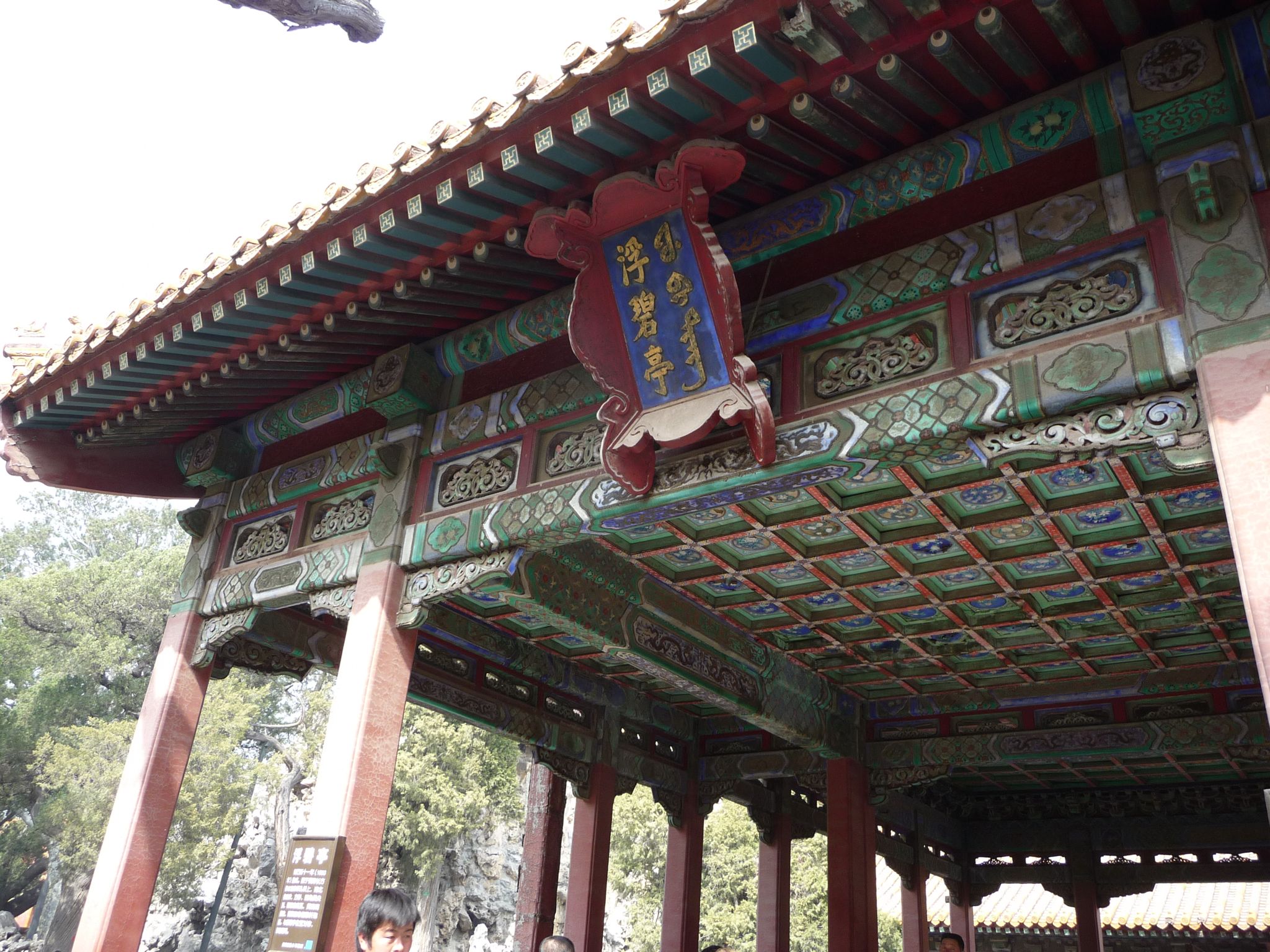 another garden roof