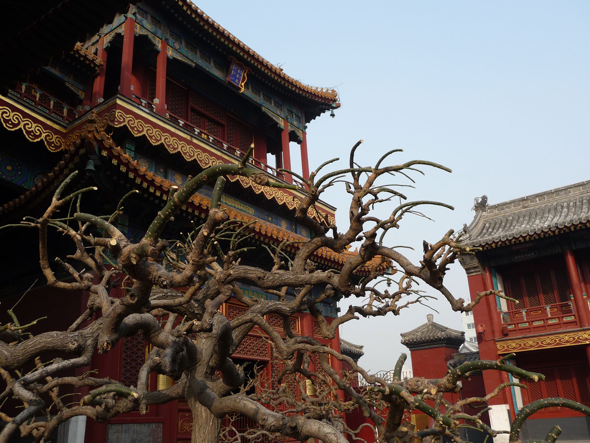 Lama Temple
