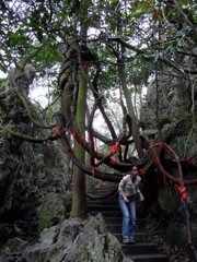 Huangzhou - Lingyin Temple