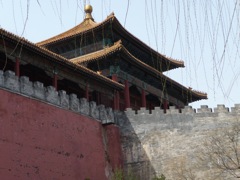 P1000876