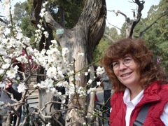 Beyond the Gate of Heavenly Purity in the Inner Court