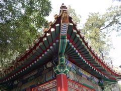 Roof Detail