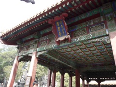 another garden roof
