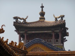 Guardian dragons