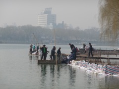 Boating in Beijing