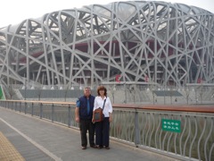 The Birds Nest