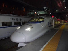 D305 Train