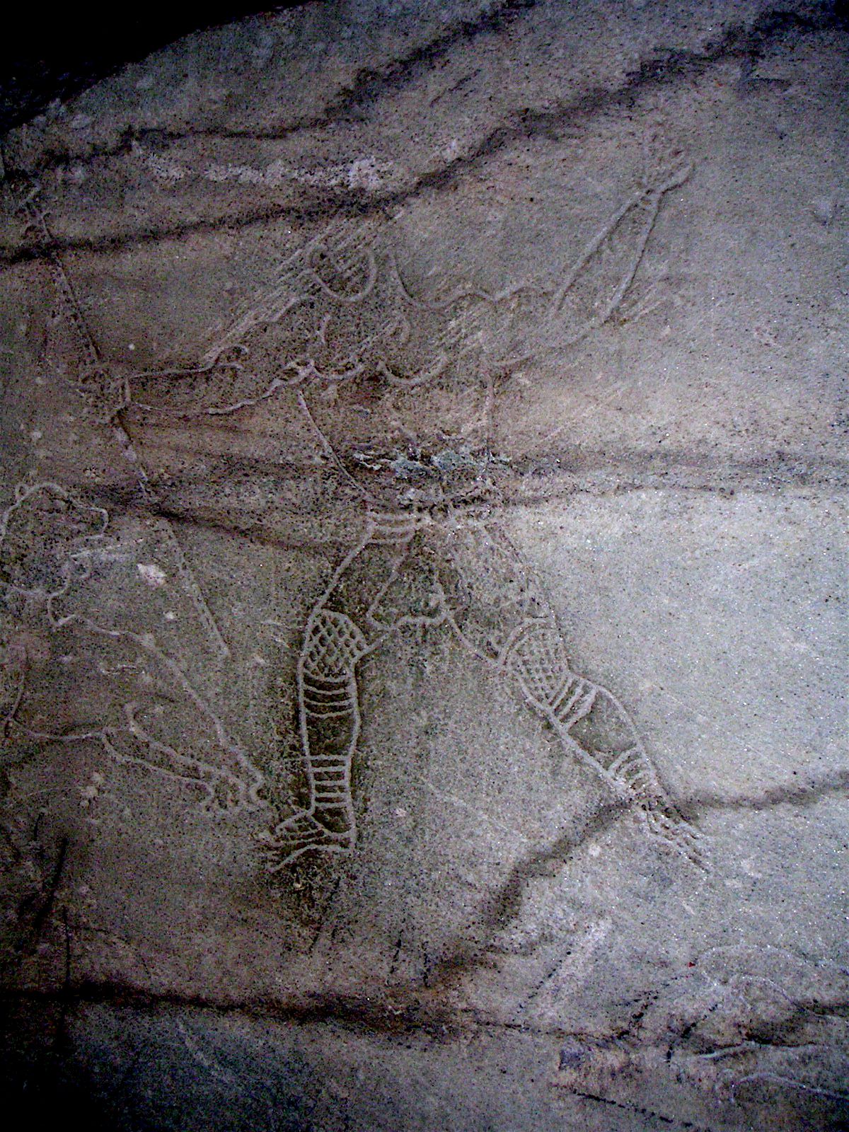 Roman Gladiator