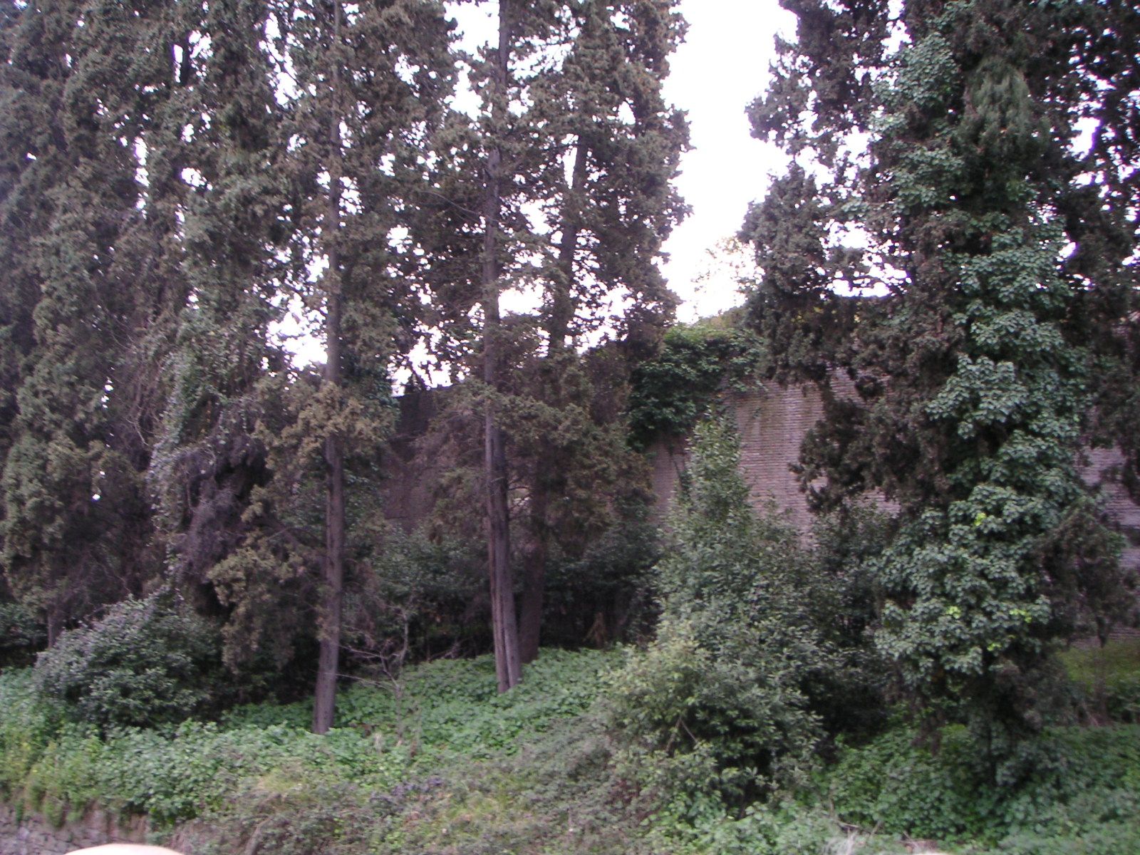 Rome tour