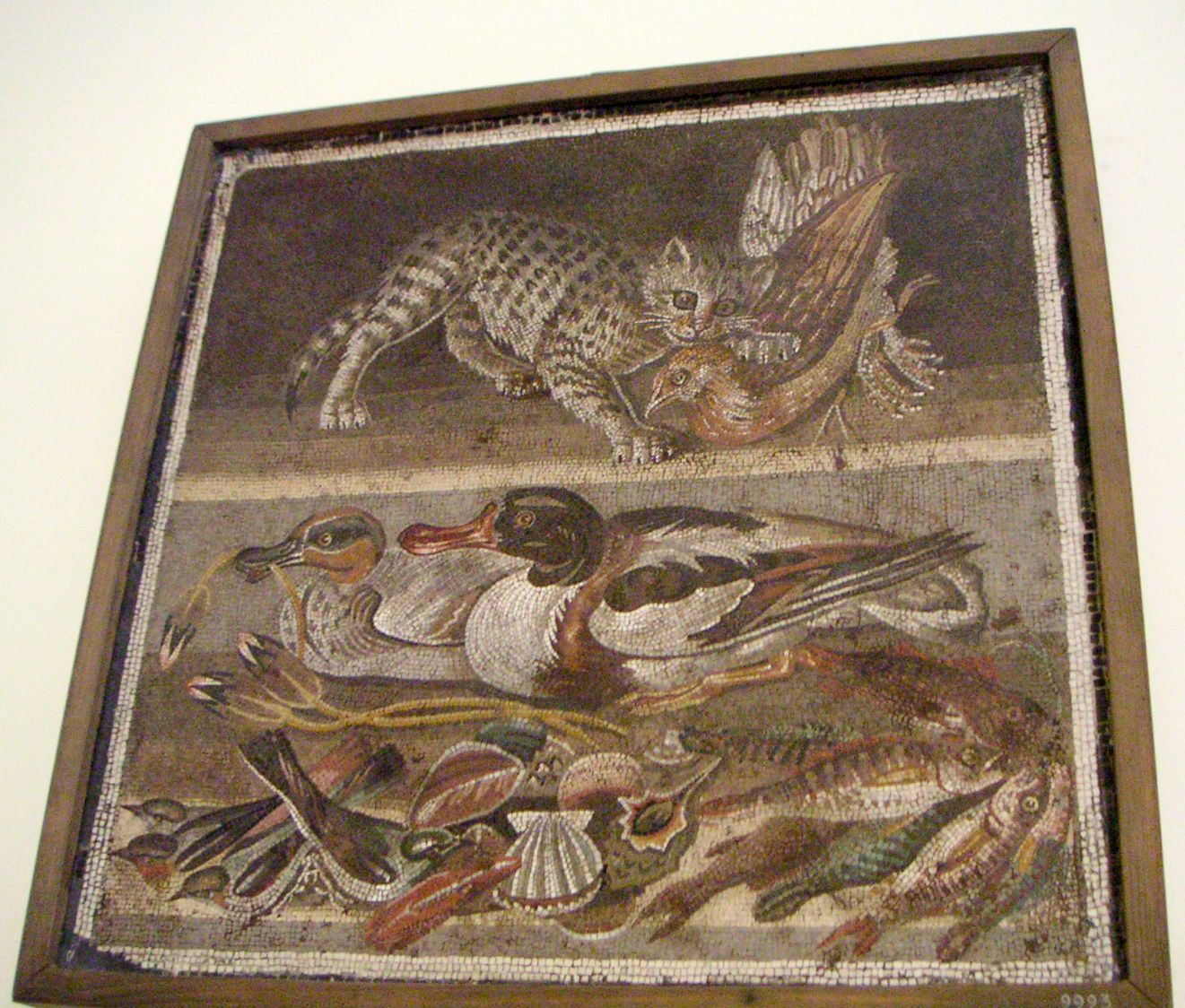 National Archaeological Museum Naples