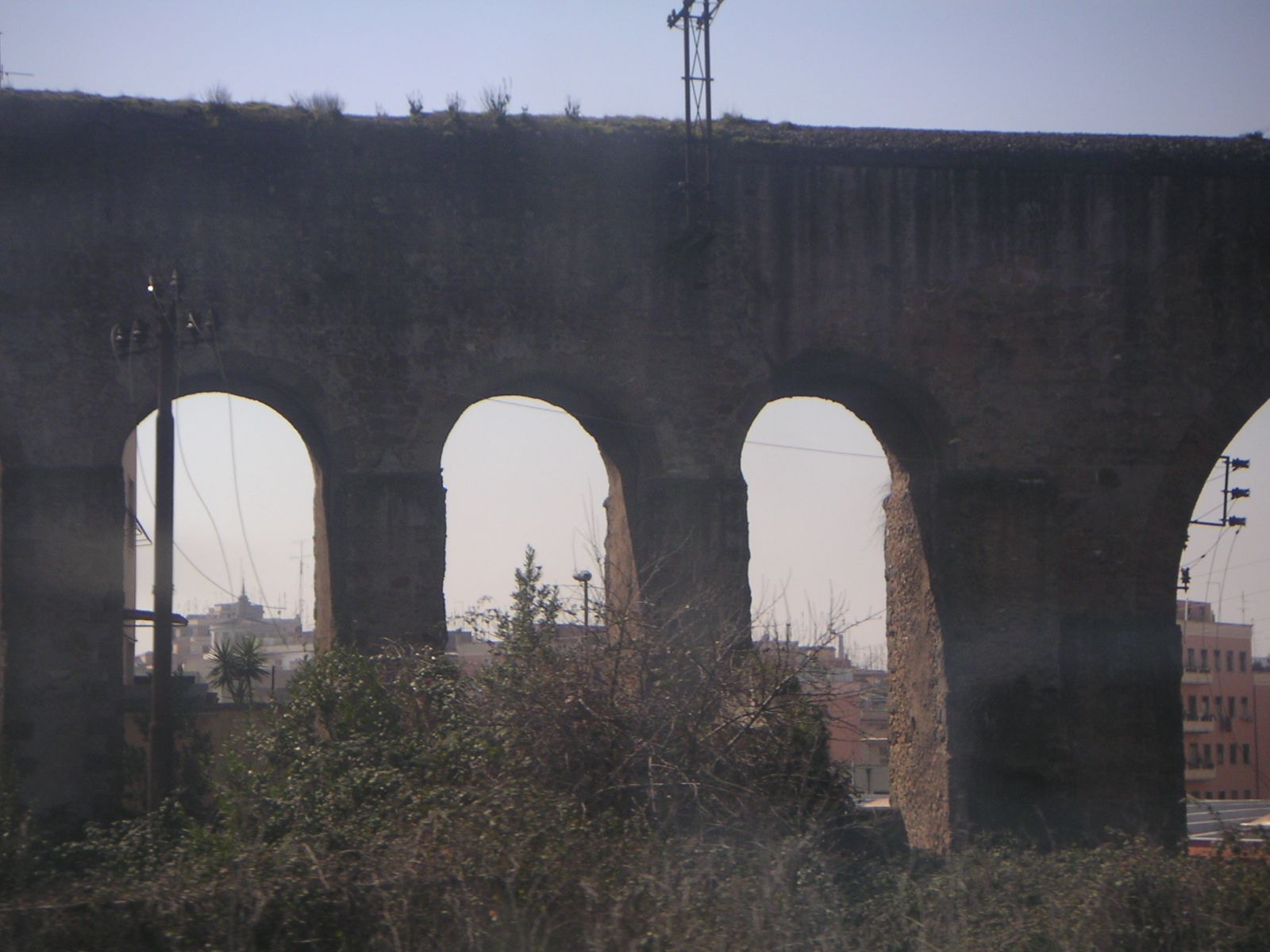 Roma