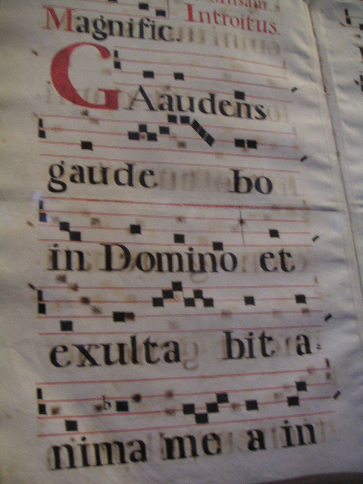 Santa Croce