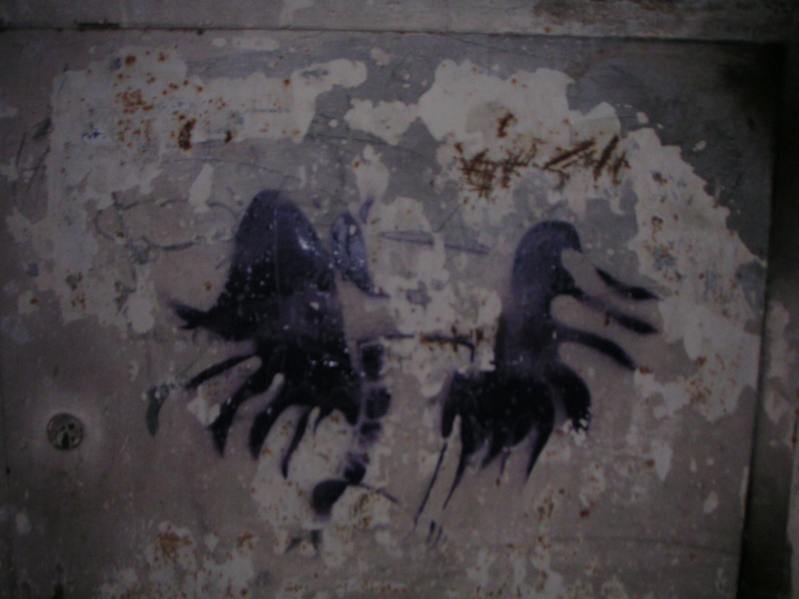 Firenze - stencil art