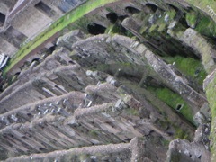 Roman Colosseum