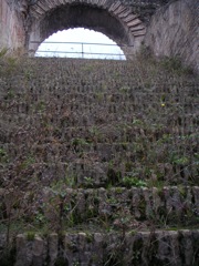 Roman Colosseum