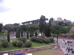 Roman Colosseum