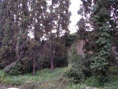 Rome tour