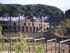 Pompei Colesseo