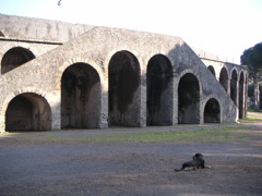 Pompei Colesseo