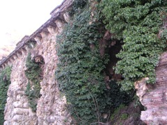 Piazza G. Poggi