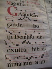 Santa Croce
