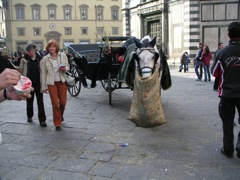 Firenze- Piazza d. S. Giovani