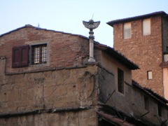 Firenze