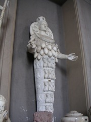 Vatican Museum
